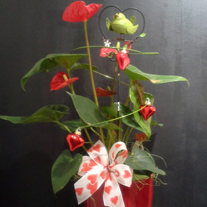 Das Blümchen - Blumen und Mehr: Blumen, Topfpflanzen, Geschenkartikel, Duftkerzen, Raumdüfte, dekorierte Blumenstöcke: saisonale Floristik Muttertag Gesteck rot